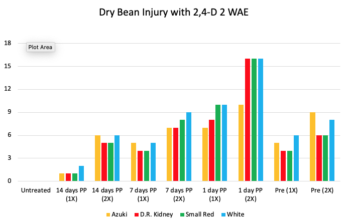 Dry Bean Injury with 2,4-D 2 WAE